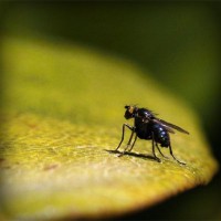 /album/mundo-sensual/photolia-a07-jpg/
